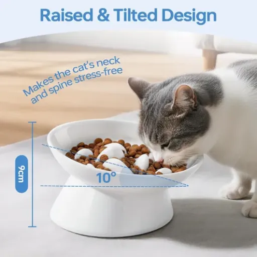 Test Gamelle Anti Glouton Chat Inclinée IDOGCHEW : la gamelle en céramique qui calme un peu les gourmands