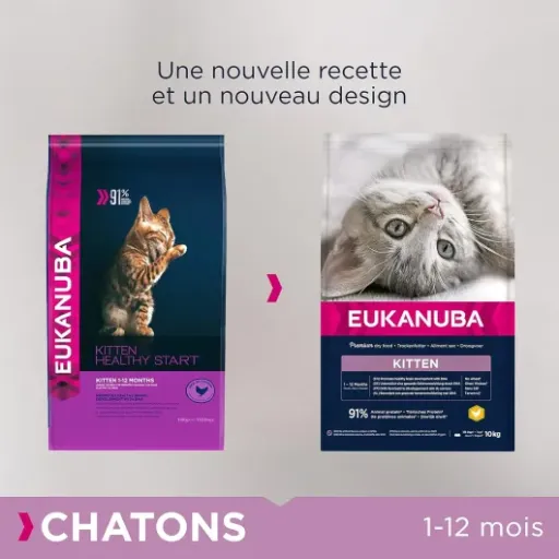Test Eukanuba Croquettes Premium Chaton 10 kg : des croquettes sérieuses pour la croissance, sans chichis