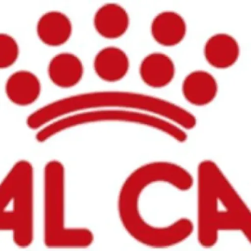 Test Royal Canin Gastrointestinal Kitten : les croquettes de secours pour chatons aux intestins en vrac