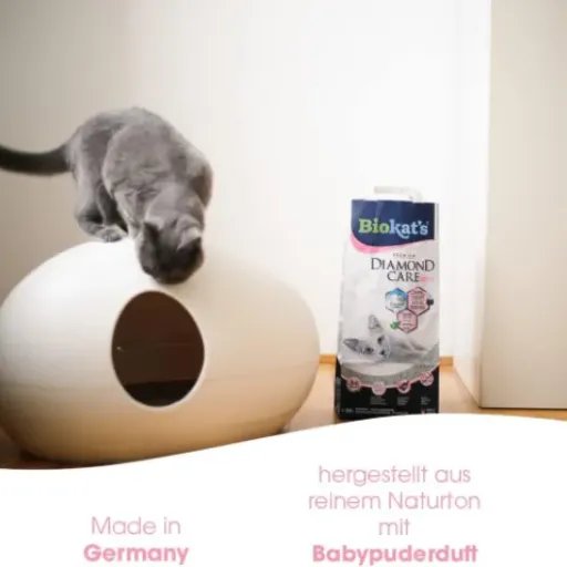 Test Biokat’s Diamond Care Fresh : une litière qui fait bien le job, mais pas parfaite