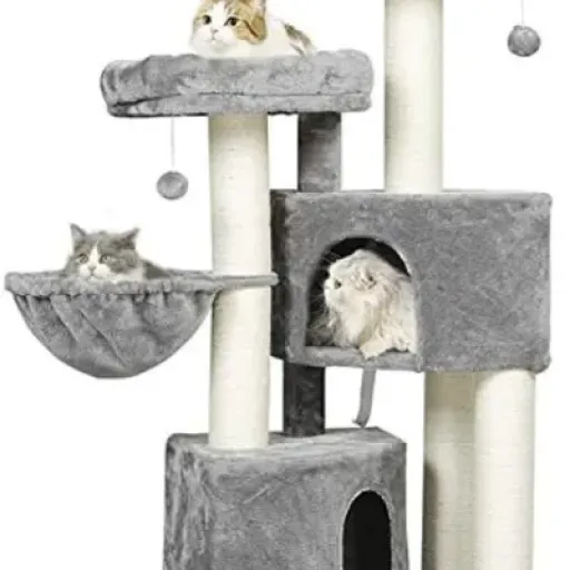 Test MSmask Arbre à Chat XXL : un gros arbre stable qui fait le job pour les grands chats