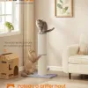 Test Feandrea Arbre à Chat XXL (85 cm) : enfin un griffoir qui tient la route pour les grands chats