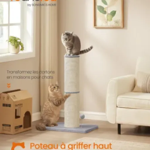 Test Feandrea Arbre à Chat XXL (85 cm) : enfin un griffoir qui tient la route pour les grands chats