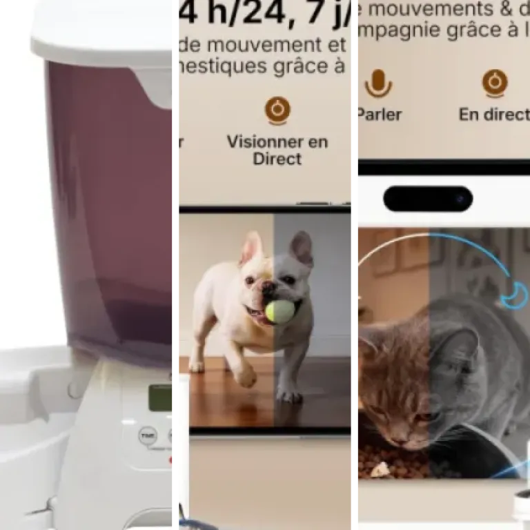 Notre sélection des 5 meilleurs distributeurs de croquettes pour chat (2026)