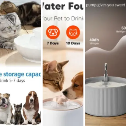 Guide d'achat : les 5 meilleurs fontaines à eau en céramique pour chat (juin 2026)