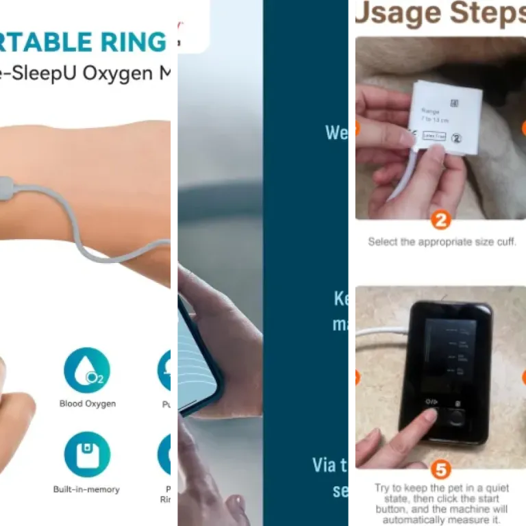 Top 6 : meilleurs capteurs biométriques pour chat (2026)