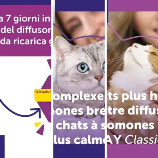 Les meilleurs solutions anti-stress connectées pour chat : notre top 6 (juin 2026)