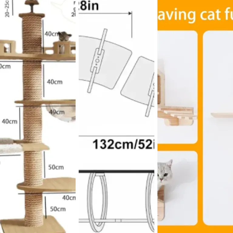Classement des 5 meilleurs espaces de jeu architecturaux pour chat (2026)