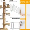 Classement des 5 meilleurs espaces de jeu architecturaux pour chat (juin 2026)