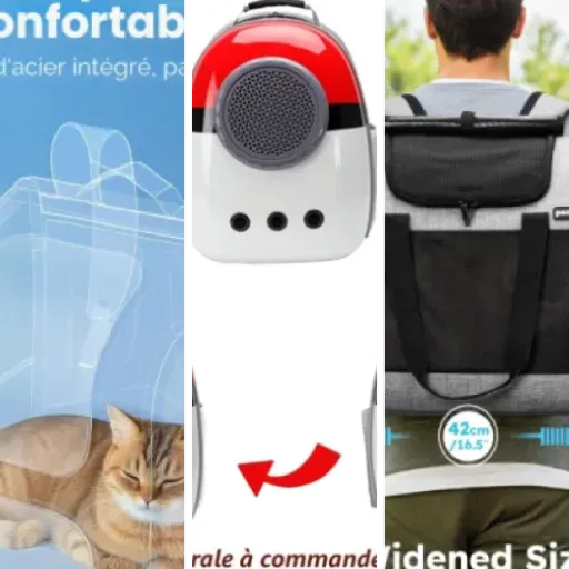Guide d'achat : les 5 meilleurs sacs à dos de transport premium pour chat (juin 2026)