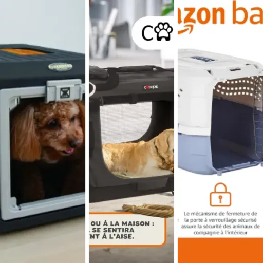Top 5 : meilleurs caisses de transport pour chat (juin 2026)