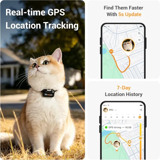 Pawfit Lite - Traceur GPS 4G pour chat - Ultra compact < 18 g - Suivi et activité en temps réel - Historique de localisation - Collier de sécurité inclus - Blanc For cats Simplement blanc