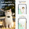 Test Pawfit Lite : le petit traceur GPS 4G qui rassure… quand tout marche bien