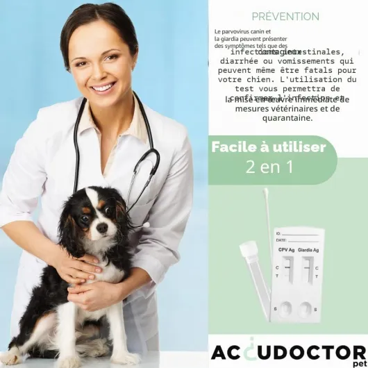2 Test AccuDoctor Test Giardia + Parvovirus CPV AG poru Chiens Test parvovirose Rapides pour selles parasites Giardiose Parvo Santé Rapid diarrhée Dog