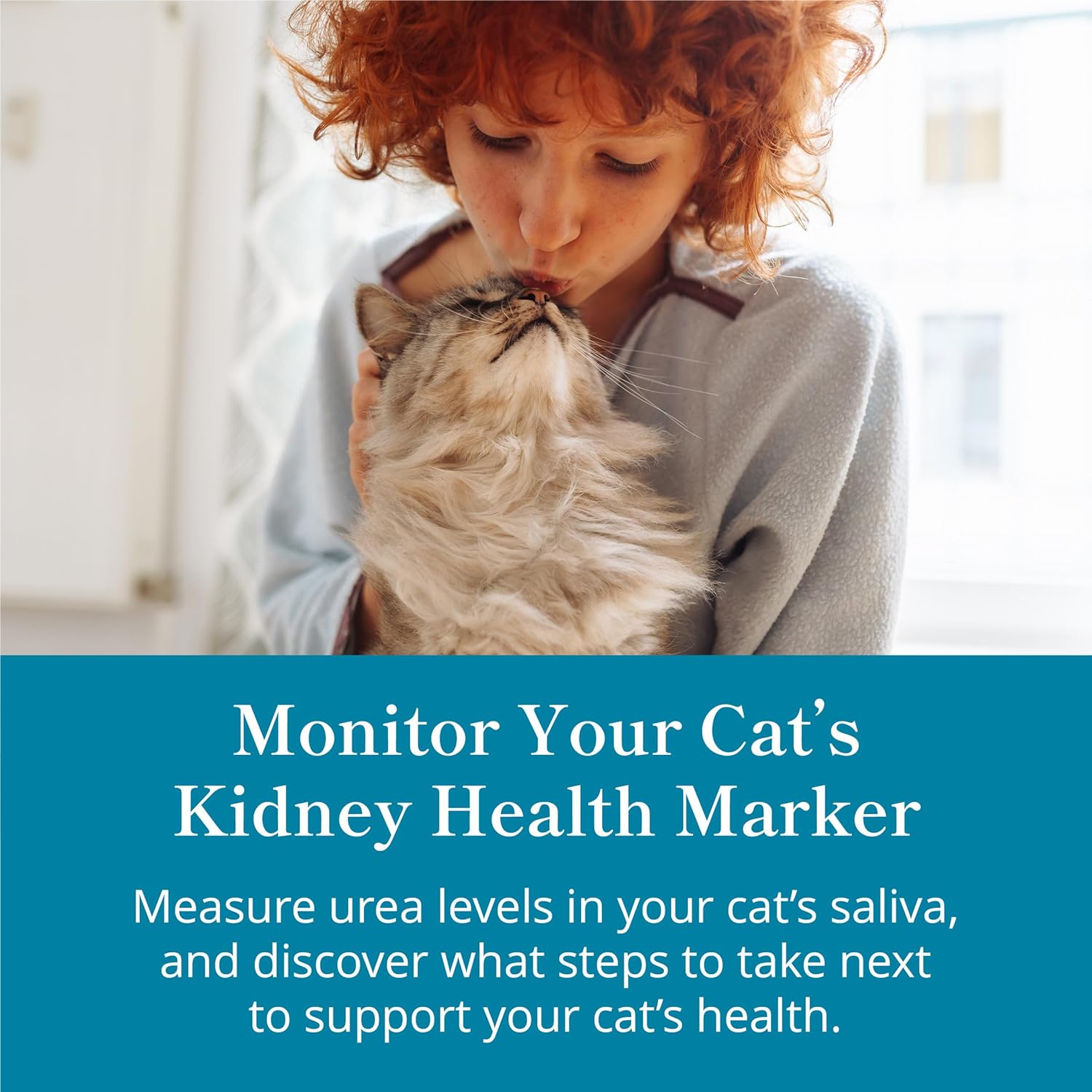Petivity at-Home Kit de Test de santé rénale pour Chat, alimenté par Purina, 28,3 g (Lot de 1)