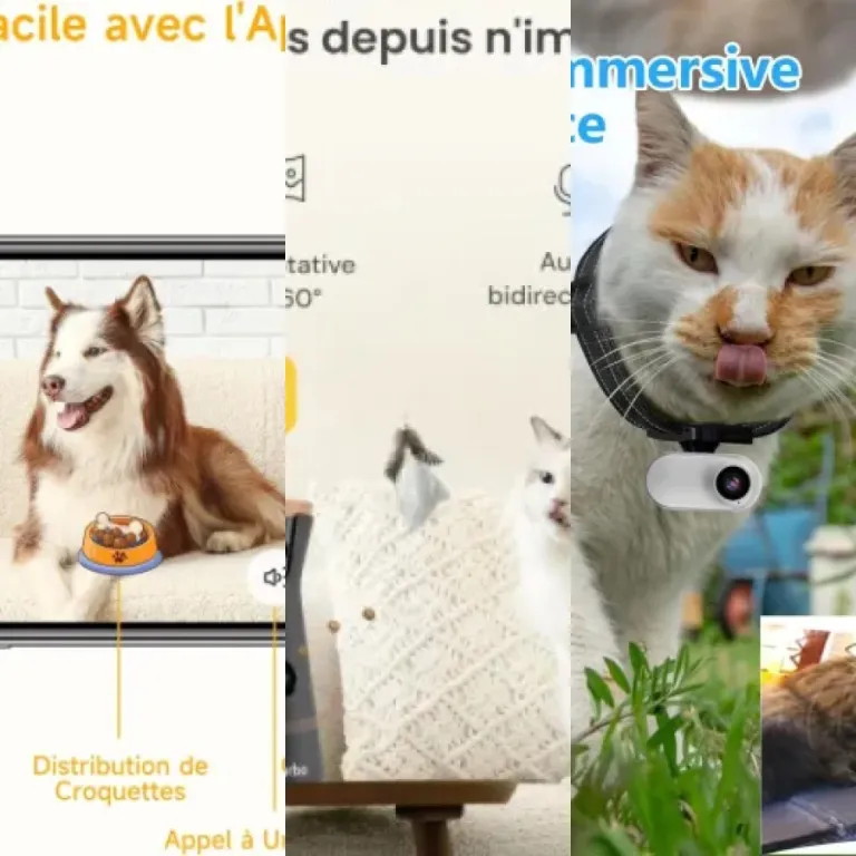 Quel analyseurs de comportement du chat choisir ? Top 6 (2026)