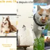 Top Analyseurs de comportement du chat