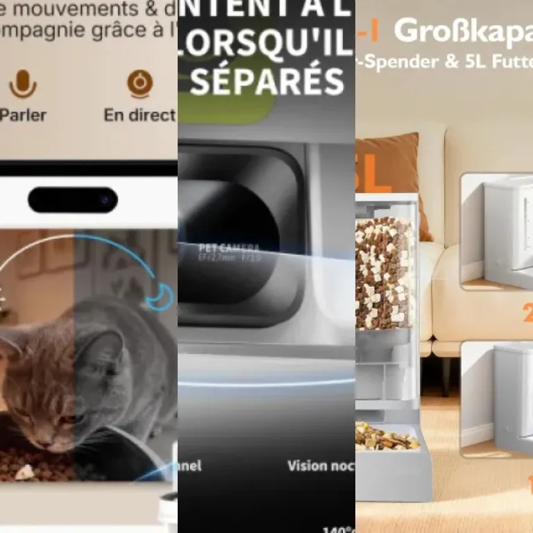 Guide d'achat : les 7 meilleurs distributeur croquettes automatique (2026)