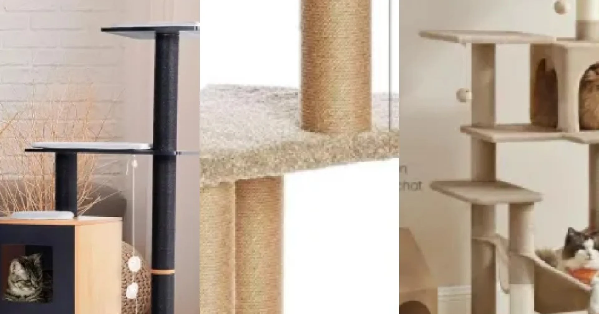 Guide d'achat : les 5 meilleurs arbres à chat design (2026)