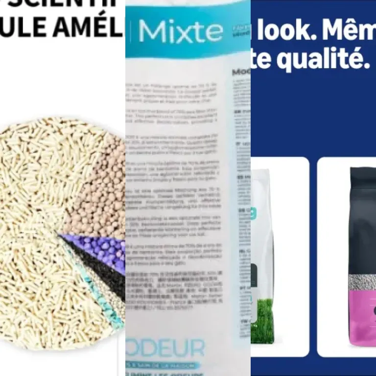 Comparatif des 9 meilleurs litières agglomérantes pour chat (2026)