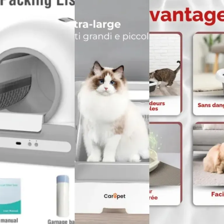 Top 9 des meilleurs modules de désinfection pour litière de chat (2026)