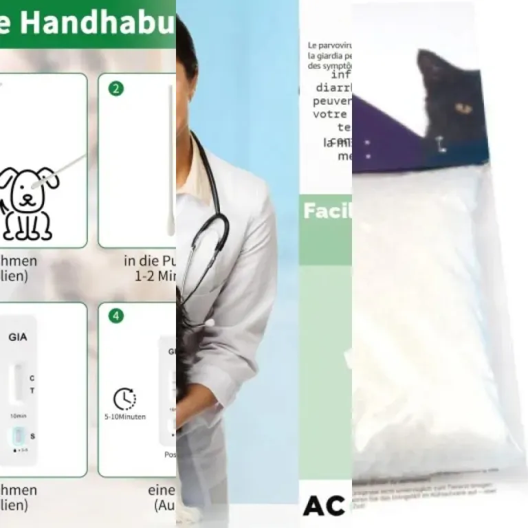 5 meilleurs outils de détection précoce de maladies du chat : notre comparatif (2026)