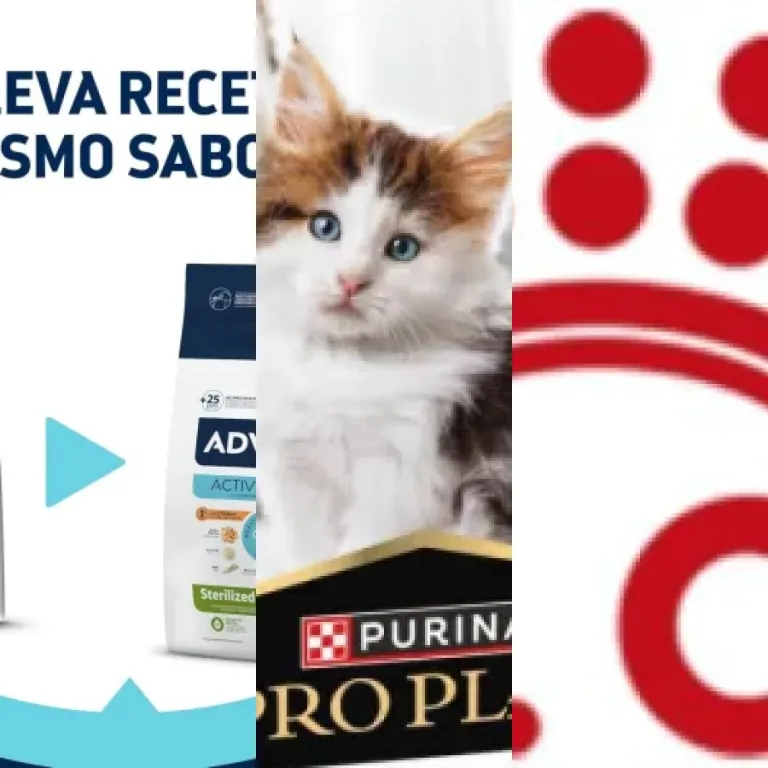 Les meilleurs croquettes chaton stérilisé : notre top 5 (2026)