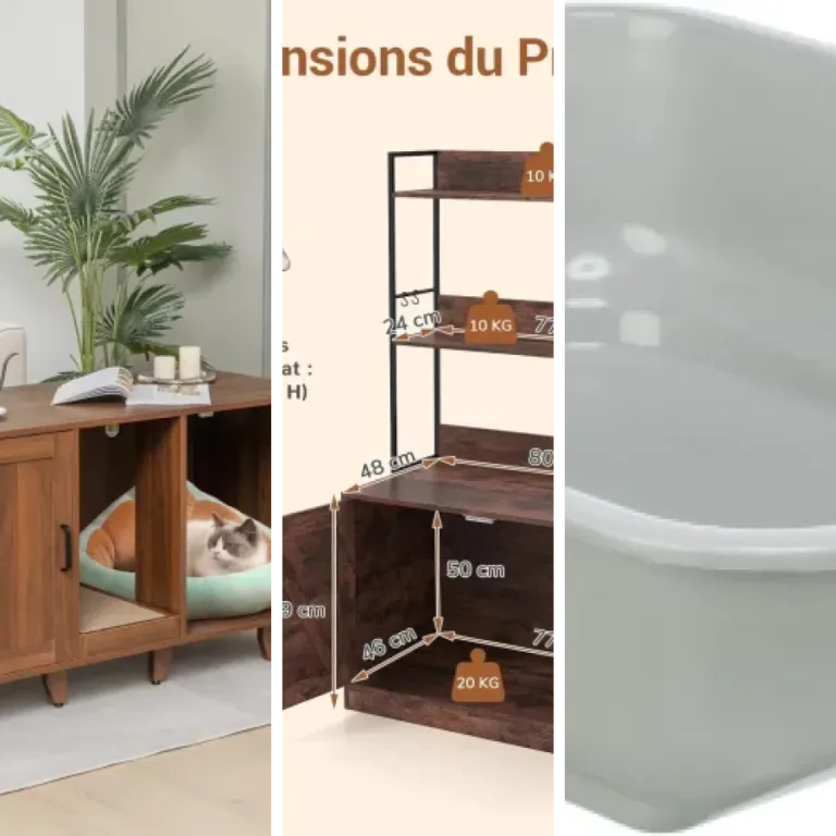 Classement des 7 meilleurs bacs à litière chaton (2026)