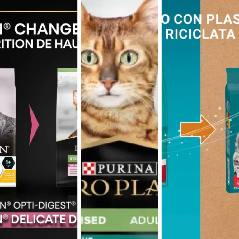 7 meilleurs croquettes chat stérilisé : notre comparatif (2026)