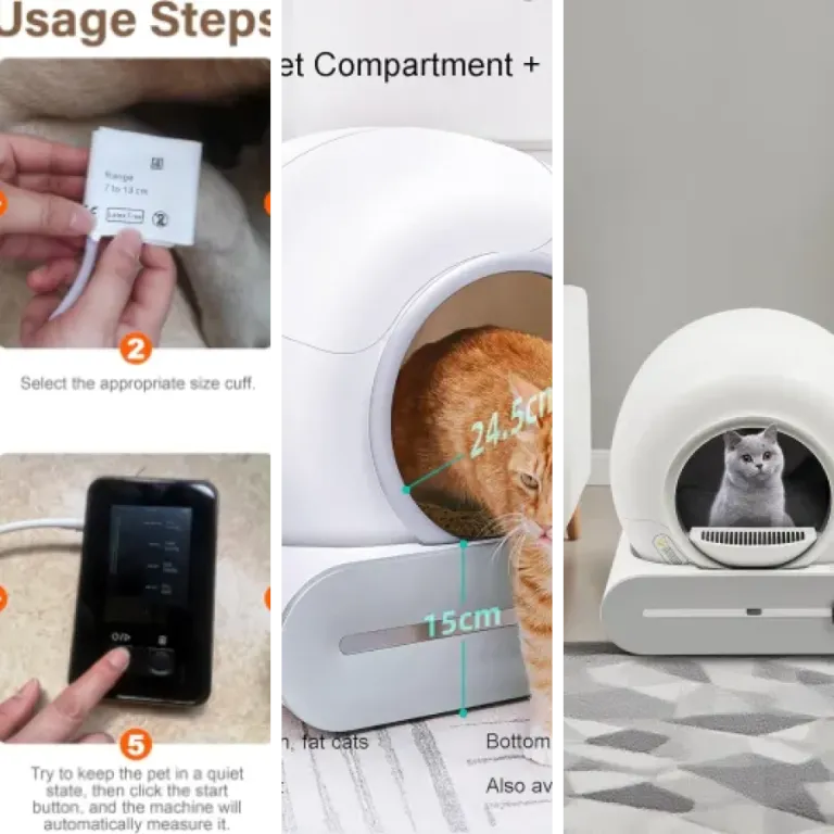 Top 7 des meilleurs dispositifs de suivi physiologique pour chat (2026)