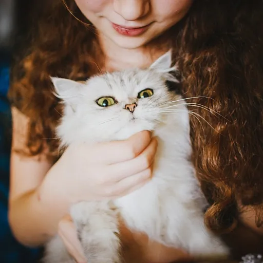 Griffoirs pour chat : un allié essentiel pour le bien-être de votre félin